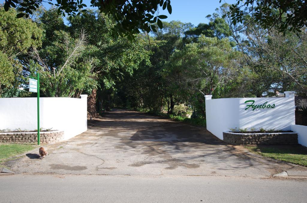 Fynbos Guest House Riversdale Luaran gambar
