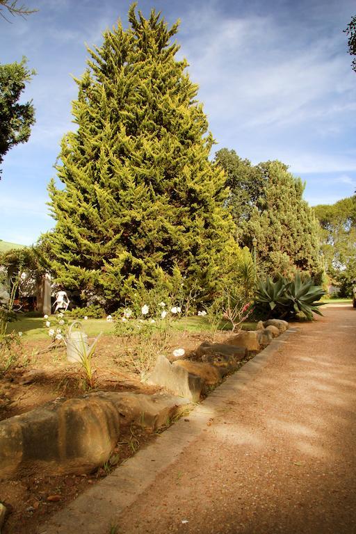 Fynbos Guest House Riversdale Luaran gambar